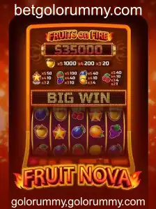 Descubra o Mundo de FruitNova